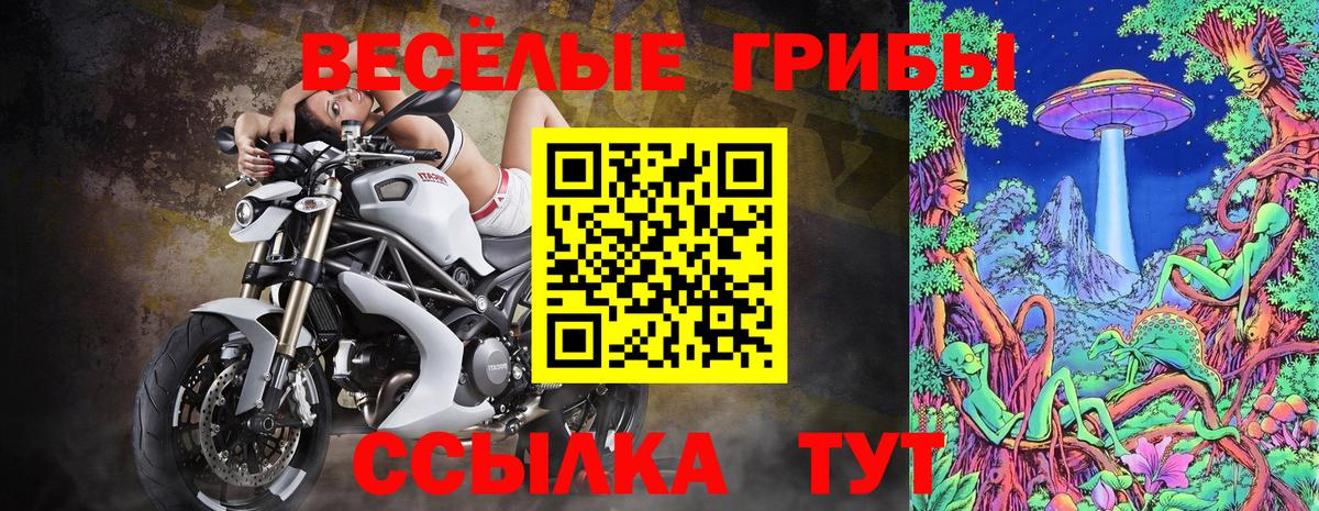 Псилоцибиновые грибы GOLDEN TEACHER Нижневартовск