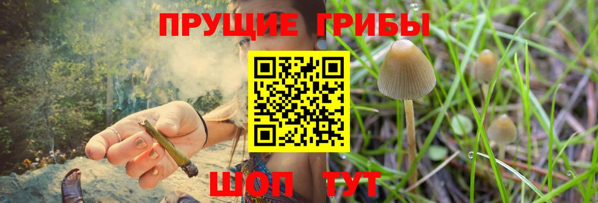 Галлюциногенные грибы ЛСД  Вход с VPN  Нижневартовск 